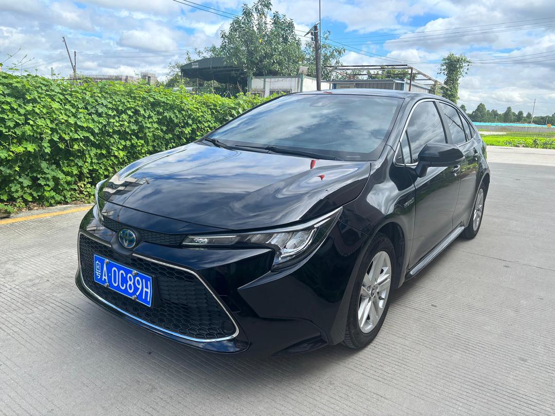 TOYOTA LEVIN 2019